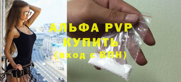 мяу мяу мука Инсар