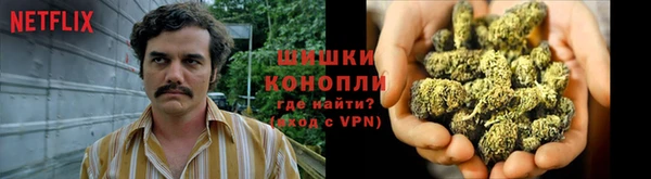 мяу мяу мука Инсар