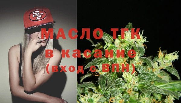 мяу мяу мука Инсар