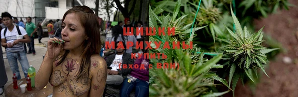 мяу мяу мука Инсар